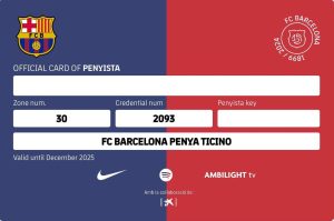 carnet penyista